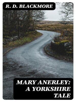 cover image of Mary Anerley